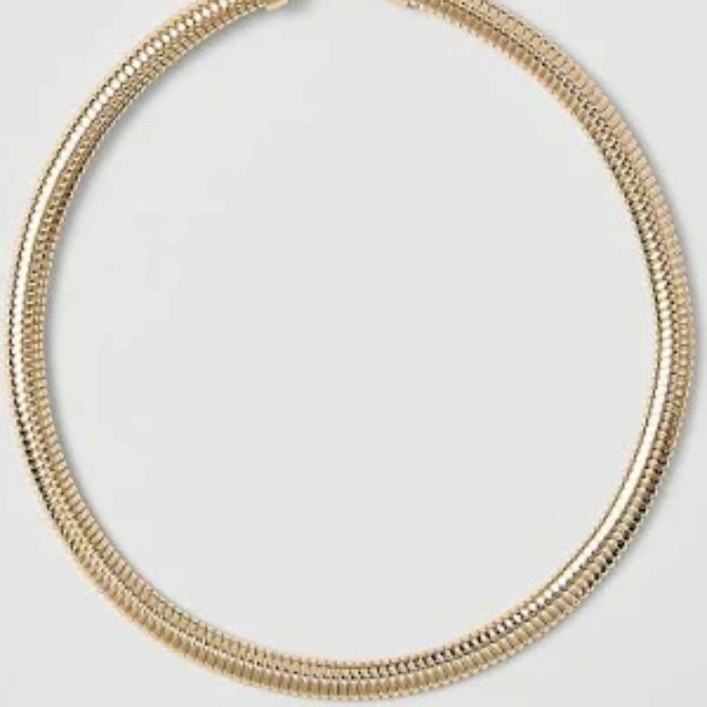 Open Edit - Snake Chain Necklace - Nwt 25$